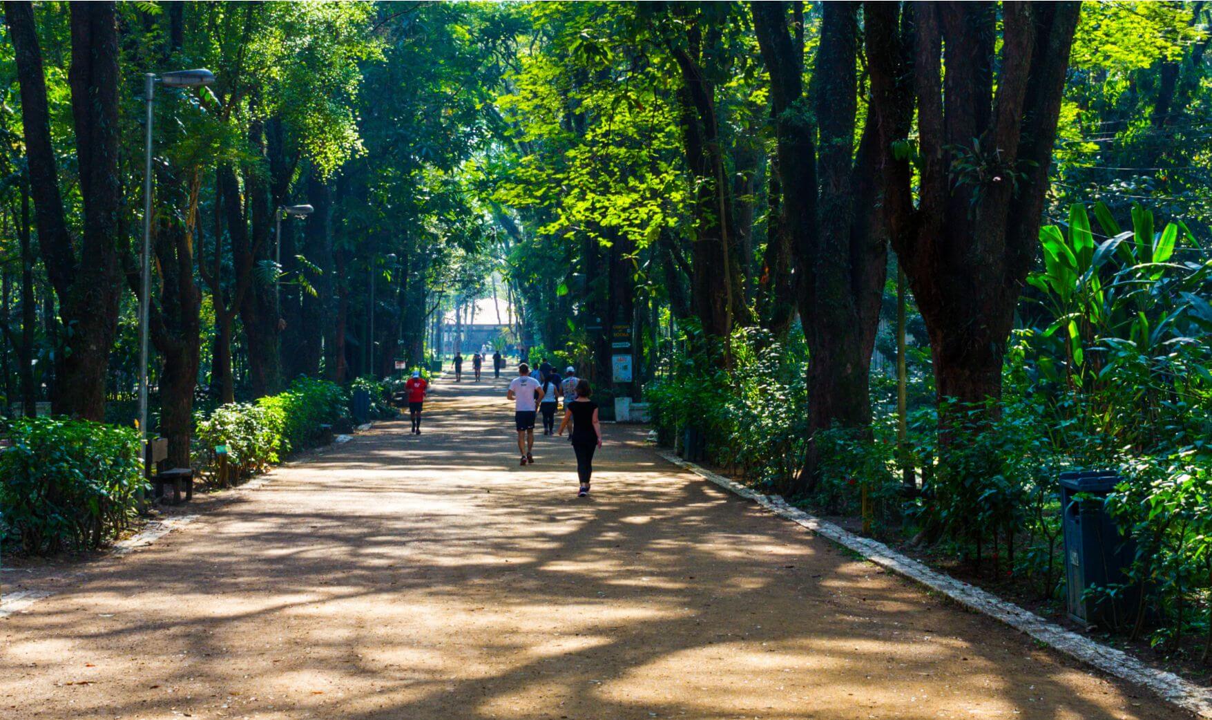 Plano de Arborização Urbana